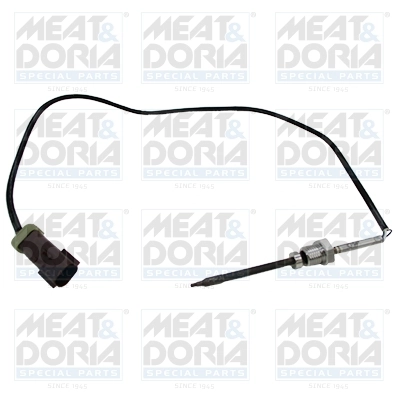 Sensor, exhaust gas temperature